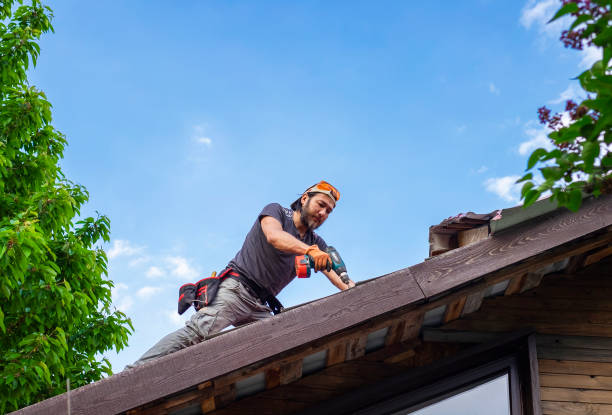 Best Roof Coating and Sealing  in Angleton, TX